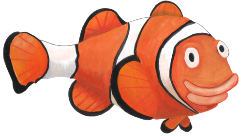 Rules - Clownfish (523x300)