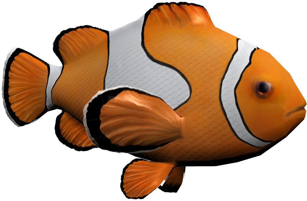 Clownfish - Computer Graphics (1280x720)