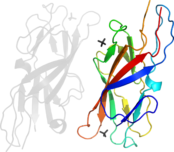 D6aowb In Context Of Pdb - Illustration (573x500)