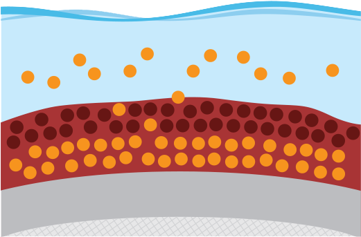 Hard Antifouling - Anti-fouling Paint (520x420)