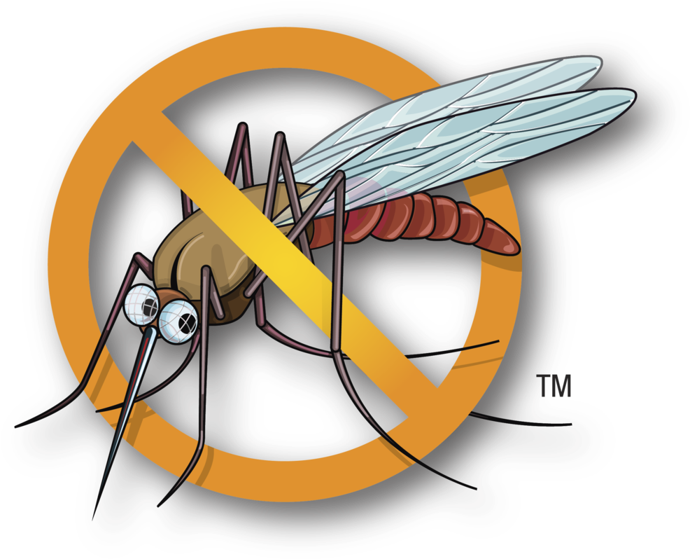 Health Care Tips For Kids - Mosquito Stick (1024x839)