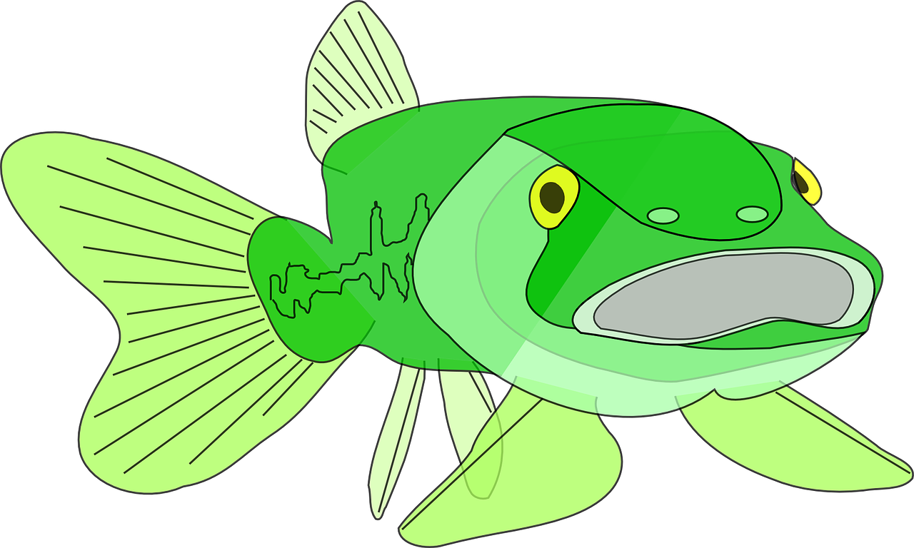 Large-mouth Bass Bass Fish Png Image - Large-mouth Bass Bass Fish...