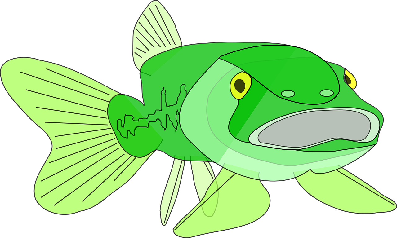 Large-mouth Bass Bass Fish Png Image - Large-mouth Bass Bass Fish Png Image (1280x768)