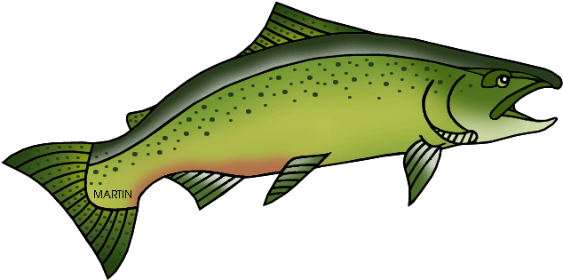 State Fish Of Oregon - Clip Art (648x329)
