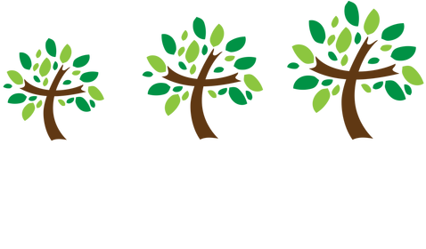 Kids Care Academy Is A Ministry Of Fort Mill Church - Nickelodeon Kids' Choice Awards (501x283)