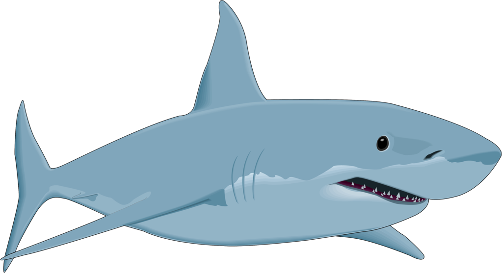 Shark Fish Clipart Seven - Great White Shark Clipart (1023x557)