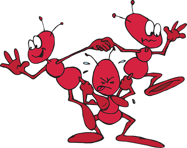 Ants Insects - Antics By Dakota Douglas 9781477696705 (paperback) (640x506)