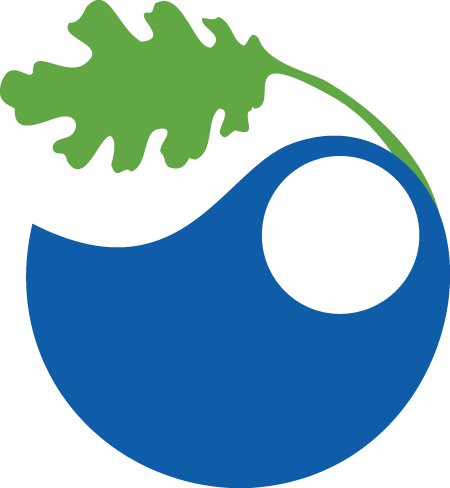 Logo - Ucsb Bren Logo (450x488)