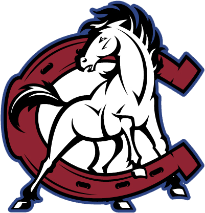 Crawford Colts - Crawford High School Logo (432x432)