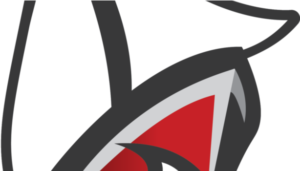 Moorhead Continued A String Of Victories Defeating - Detroit Lakes High School (620x349)