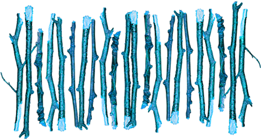 Wattle Fence Clip Art - Wattle Fence Clip Art (893x500)