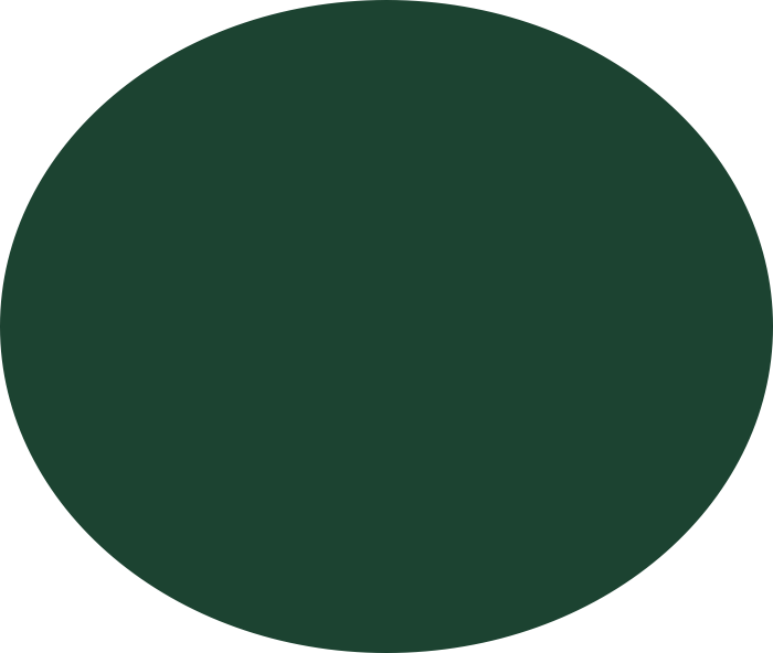 149th Open Championship Shop Now Live - Lily Pad Coloring Page (700x592)