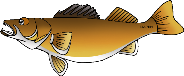 Minnesota State Fish - Clip Art Walleye (648x280)