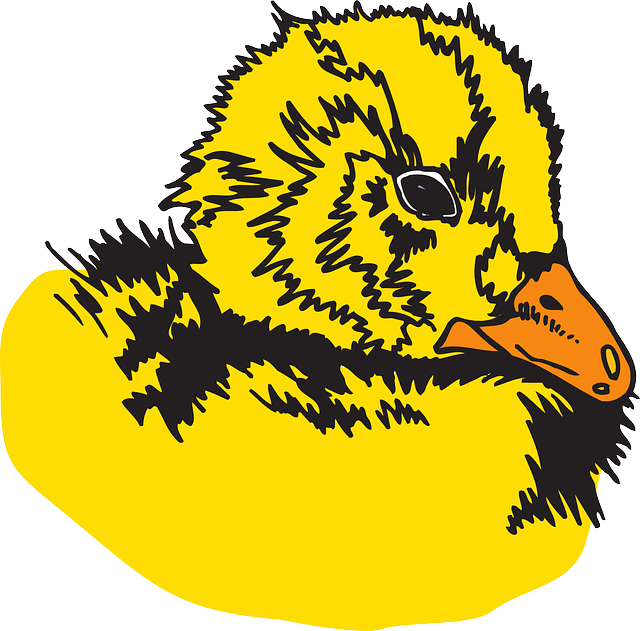 Fuzz Baby, Head, Bird, Animal, Feathers, Duckling, - Bird (1280x1262)