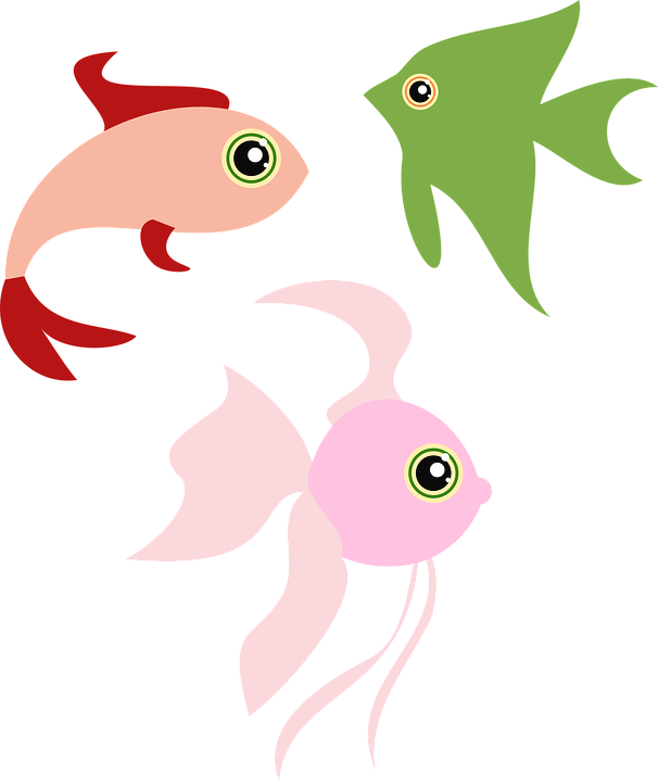 Jelly Fish Clipart 11, - Fish (606x720)