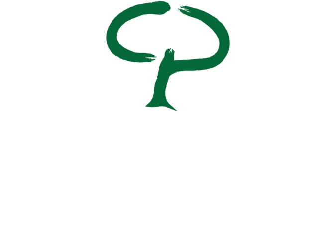 Welcome To Changing Perceptions Therapy - Calligraphy (1000x518)