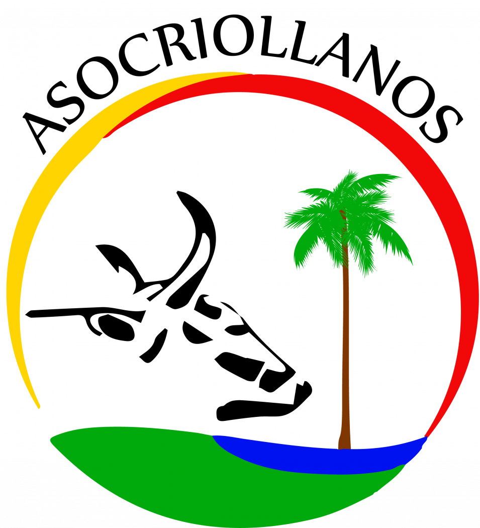 Participating Organizations - ヤシ の 木 シルエット (955x1050)