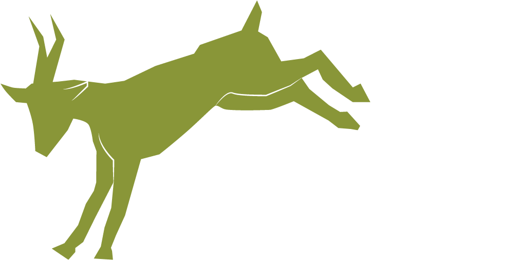 Leaping Goat Coffee Co Leaping Goat Coffee Co - Retail (1024x597)