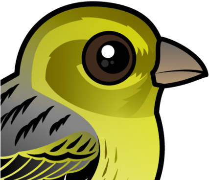 About The Atlantic Canary - Atlantic Canary (440x440)