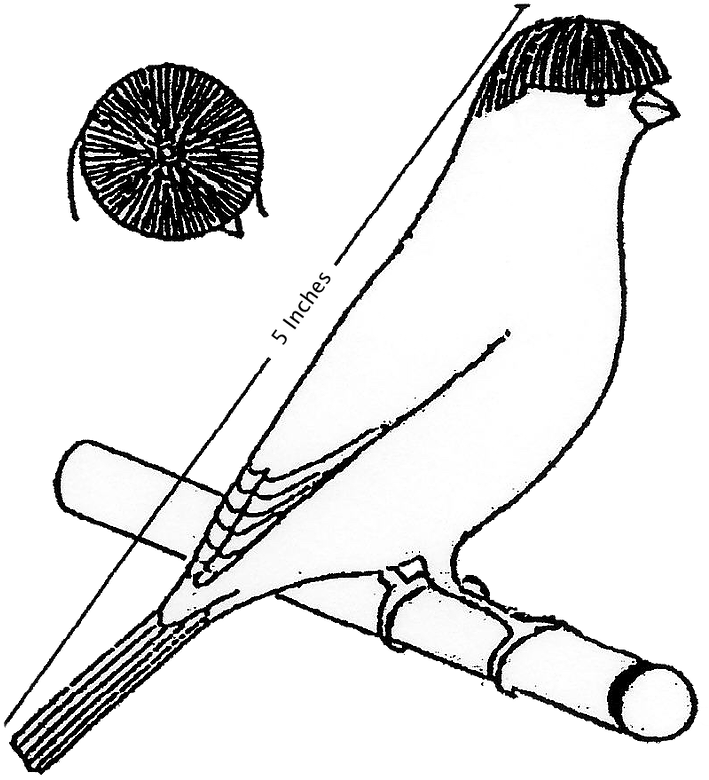 Crest Stafford Line Drawing - Sketch (714x851)