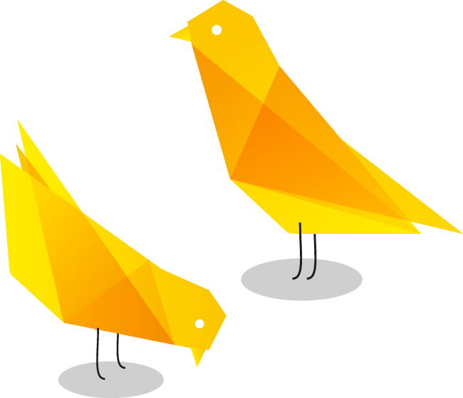 Canary - Organization (650x558)