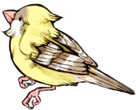 A Pretty Fly Guy - Blue Jay (500x383)