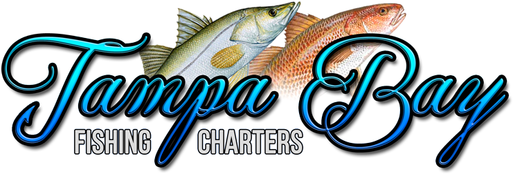 Tampa Bay Fishing Charters - Trout (770x287)