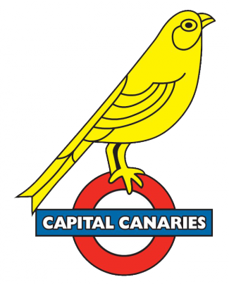 Norwich City Fan Badge (325x404)