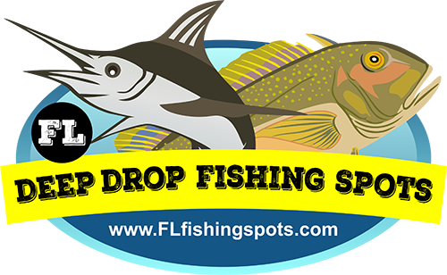 Deep Drop Fishing Logo - Florida (500x308)