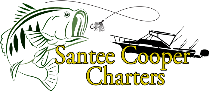 Santee Cooper Fishing Charters, South Carolina - Boating Zone Funny Novelty Crossing Sign 16.5'x16.5', (694x330)