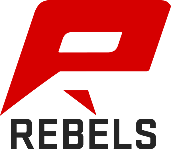 [e][h]rebels - Rebels Cs Go (600x526)