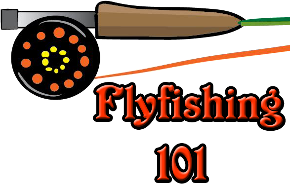 Fly Fishing Gear Needed For The Beginner - Fly Fishing (600x400)