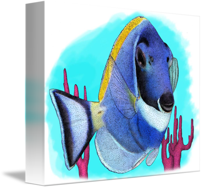 Anglerfish (650x606)