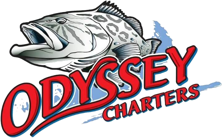 Odyssey Fishing Charters - Odyssey Fishing Charters (720x514)