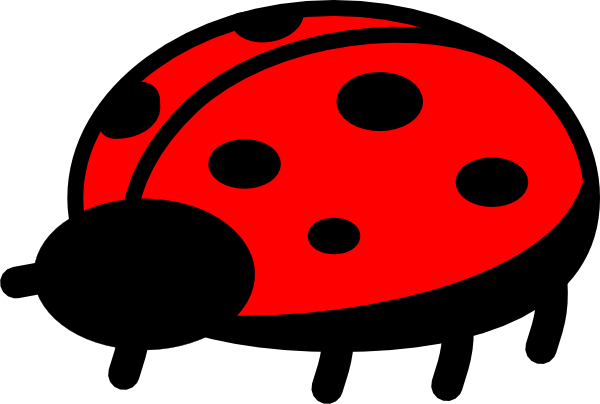 Ladybug Clip Art (600x404)