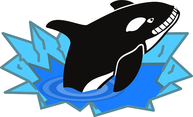 Fish, Penguin Enemy, Polar, Whale, Ocean, Killer - Killer Whale Clip Art (640x389)