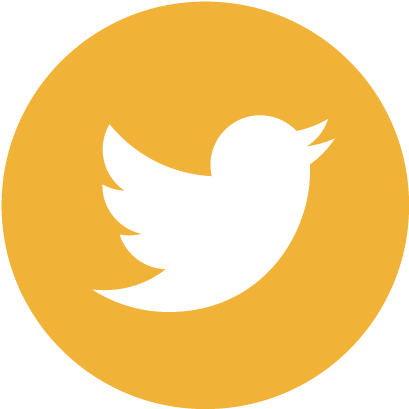 The Bravery Files - Yihad Como El Estado Islamico Ha Conquistado (417x417)