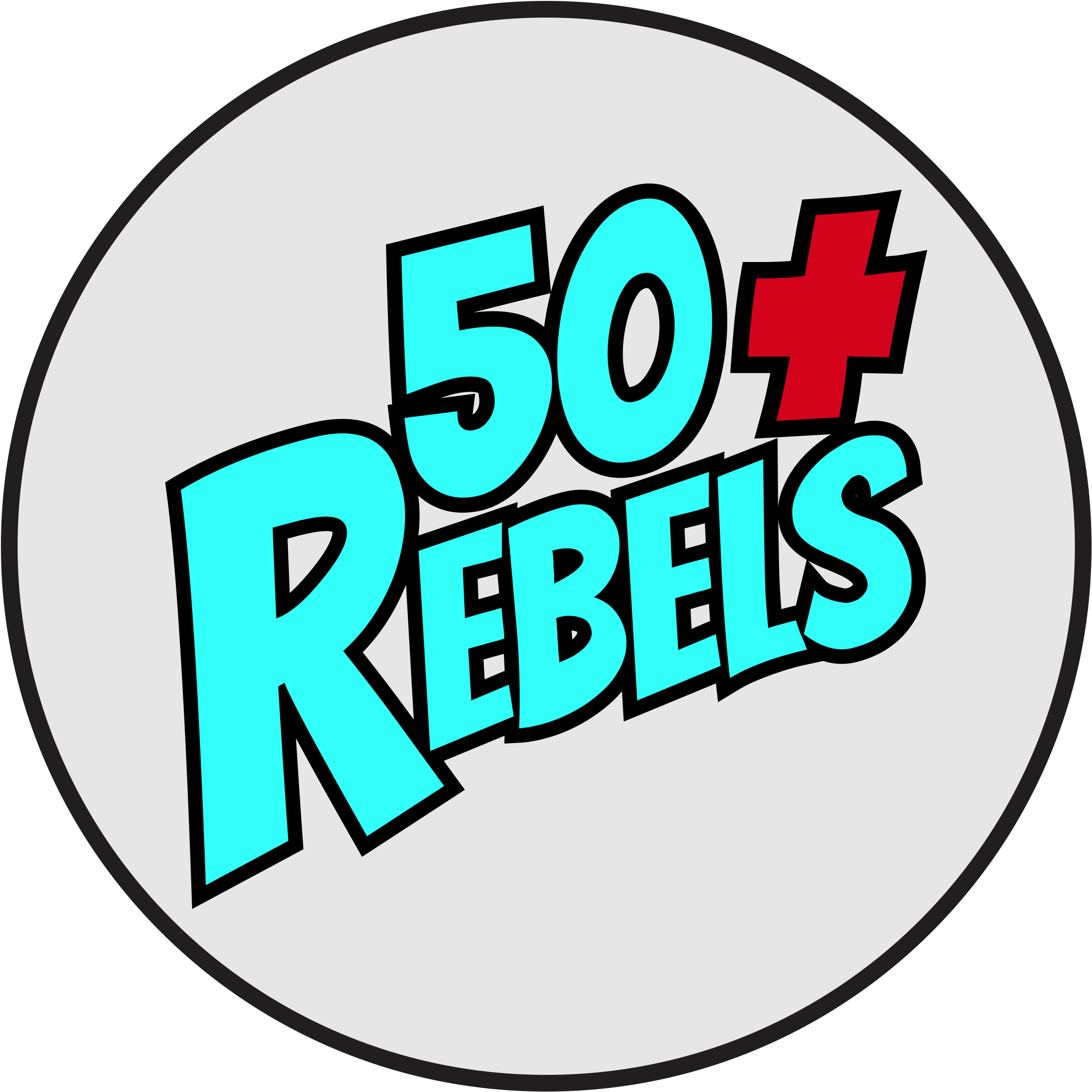 50 Plus Rebels - Gimnazjum Nr 2 W Świebodzicach (2438x2426)