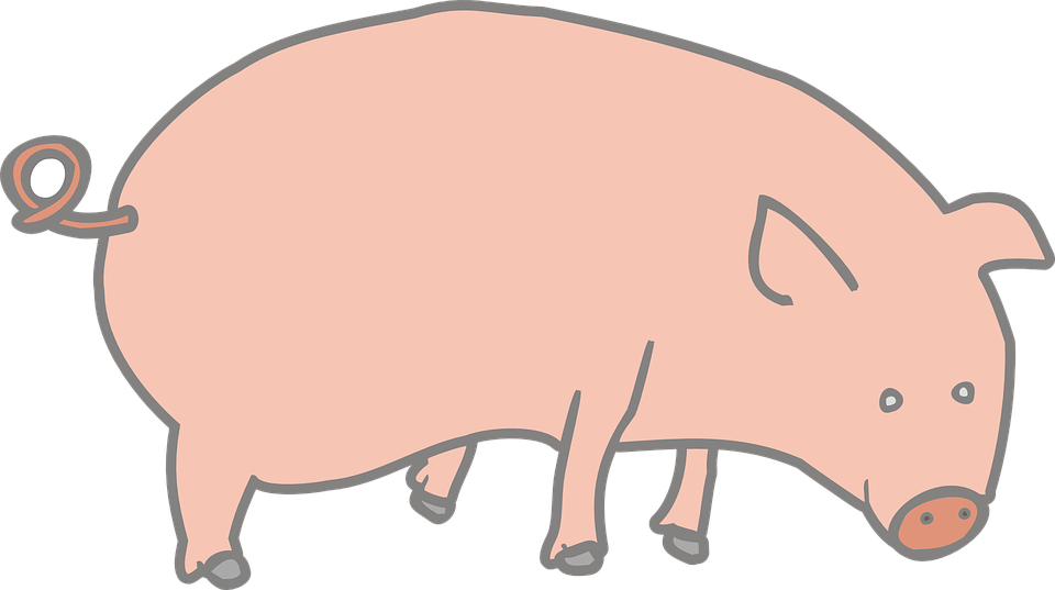 Outline, Marcelo, Drawing, Cartoon, Farm, Pink - Pig Clip Art (960x537)