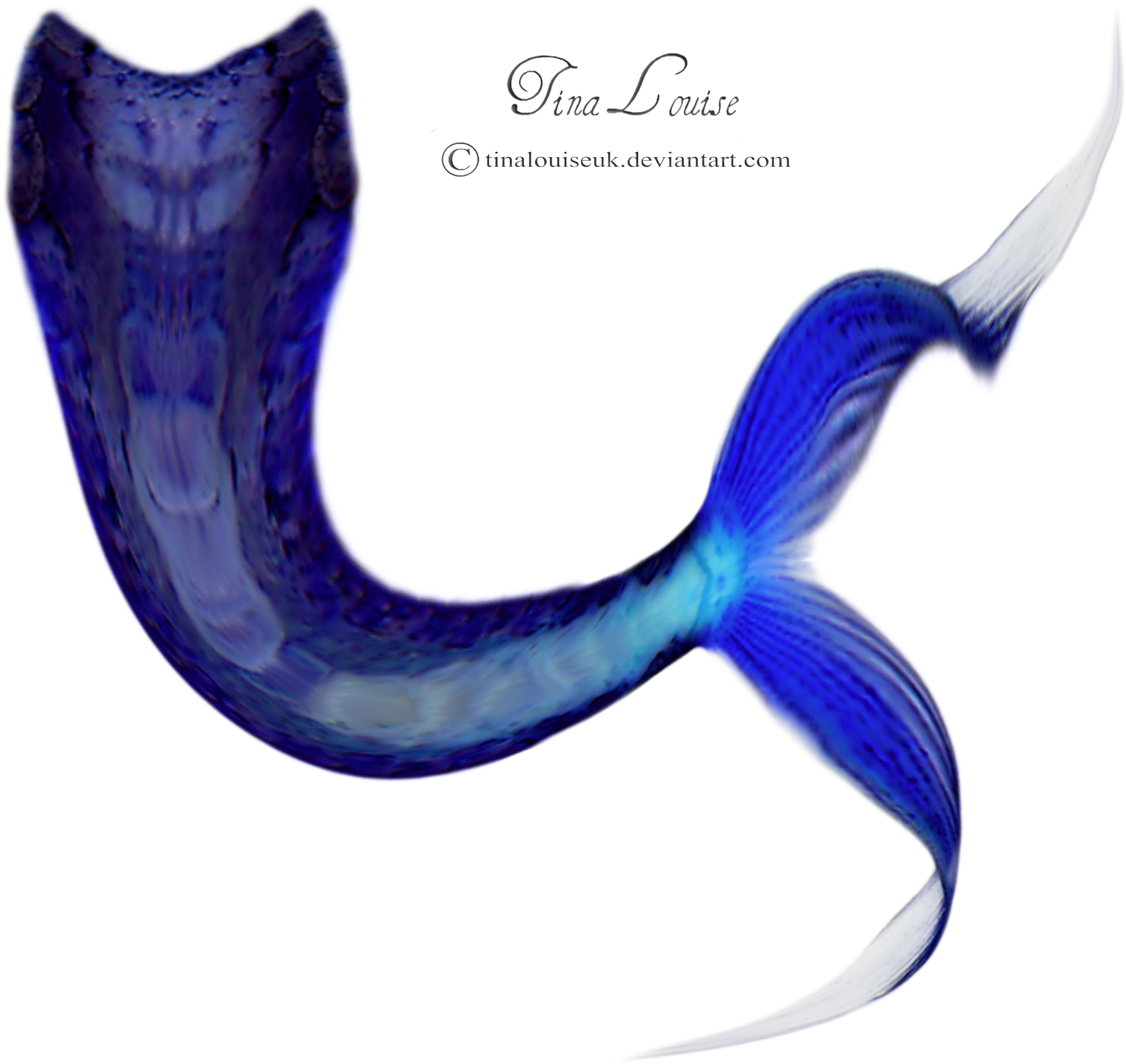 Mermaid Tail Png Transparent Images - Mermaid Tail Hd (2050x2050)