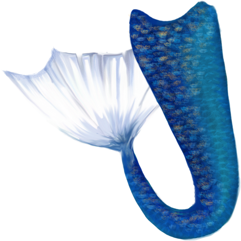 Mermaid Tail Png - Mermaid Png (900x873)