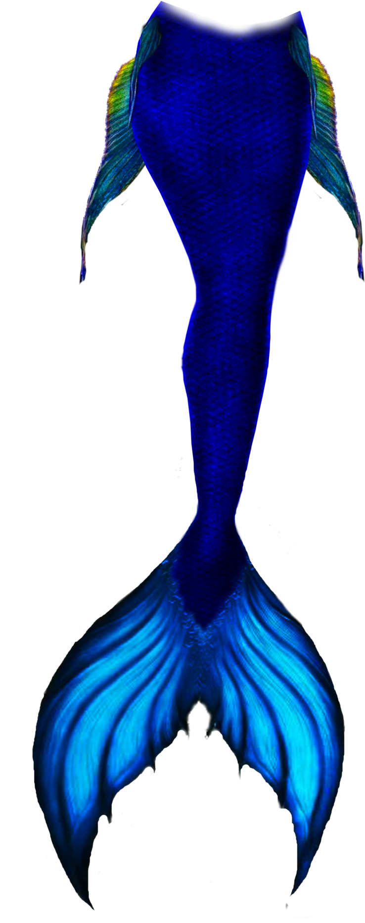 Blue Mermaid Tail By Goth666moran On Deviantart - Blue Mermaid Tail By Goth666moran On Deviantart (1024x2048)