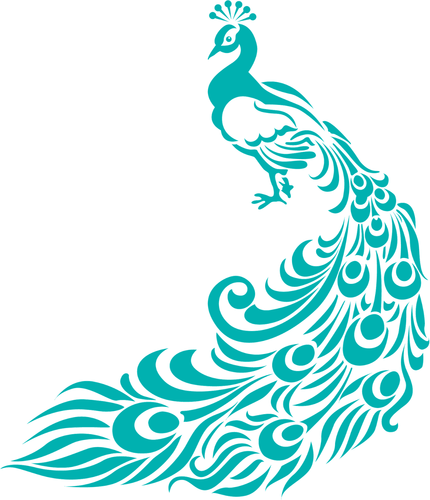 Simple Colorful Peacock Drawing - Border Design For Assignment (1383x1600)