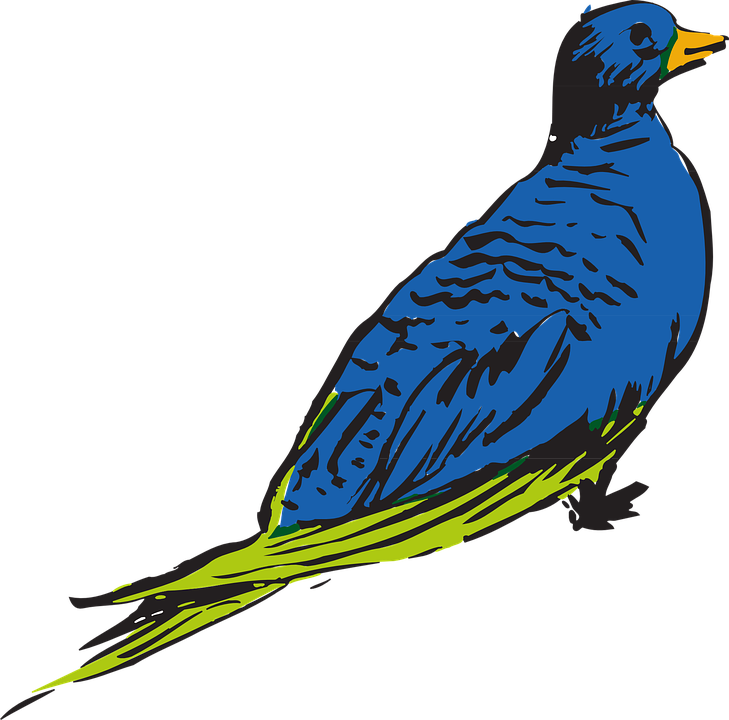 Blue, Drawing, Bird, Wings, Animal, Feathers - Bird (1280x1264)