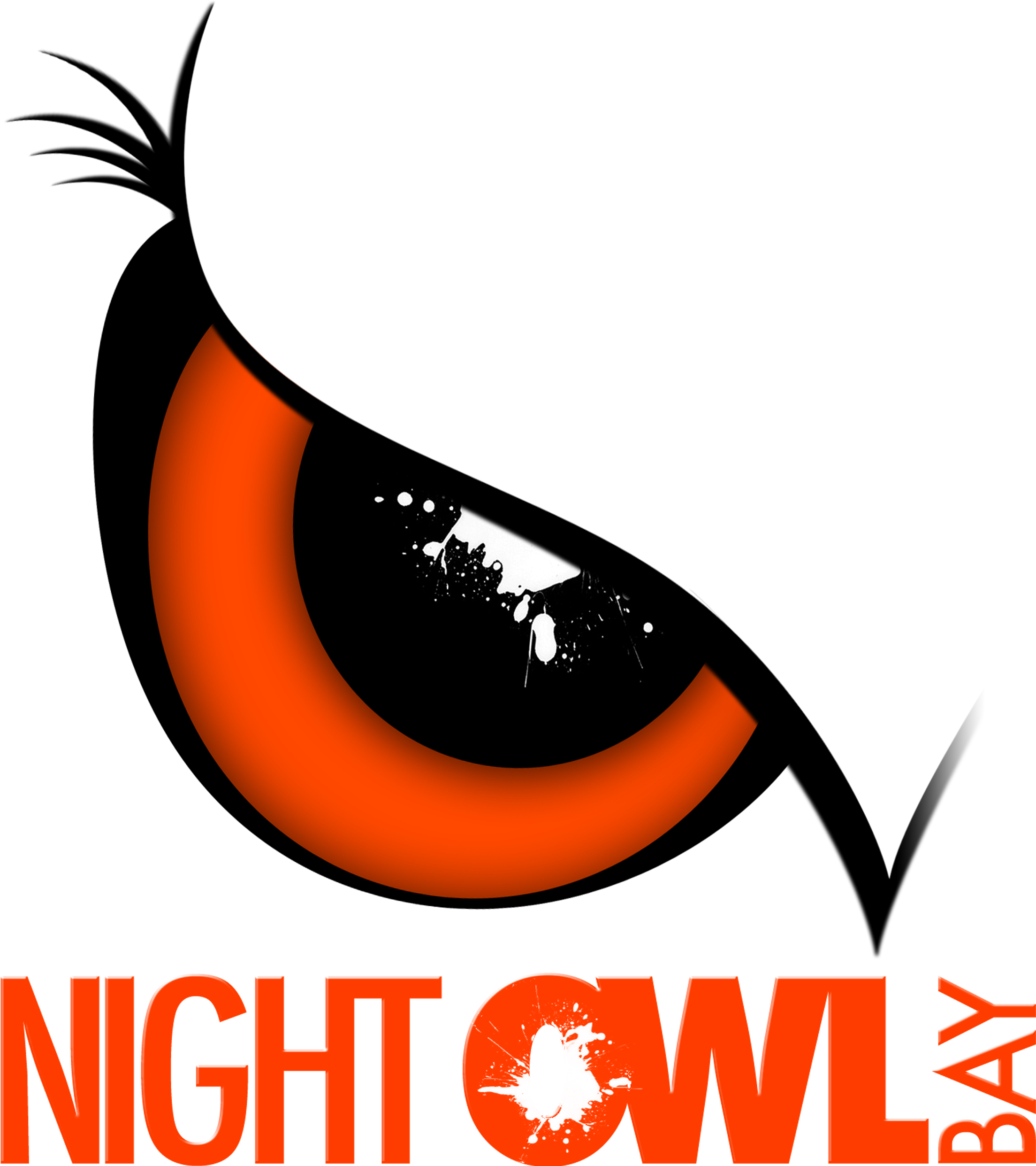 5/10 - Night Owl Logo Png (2550x2610)