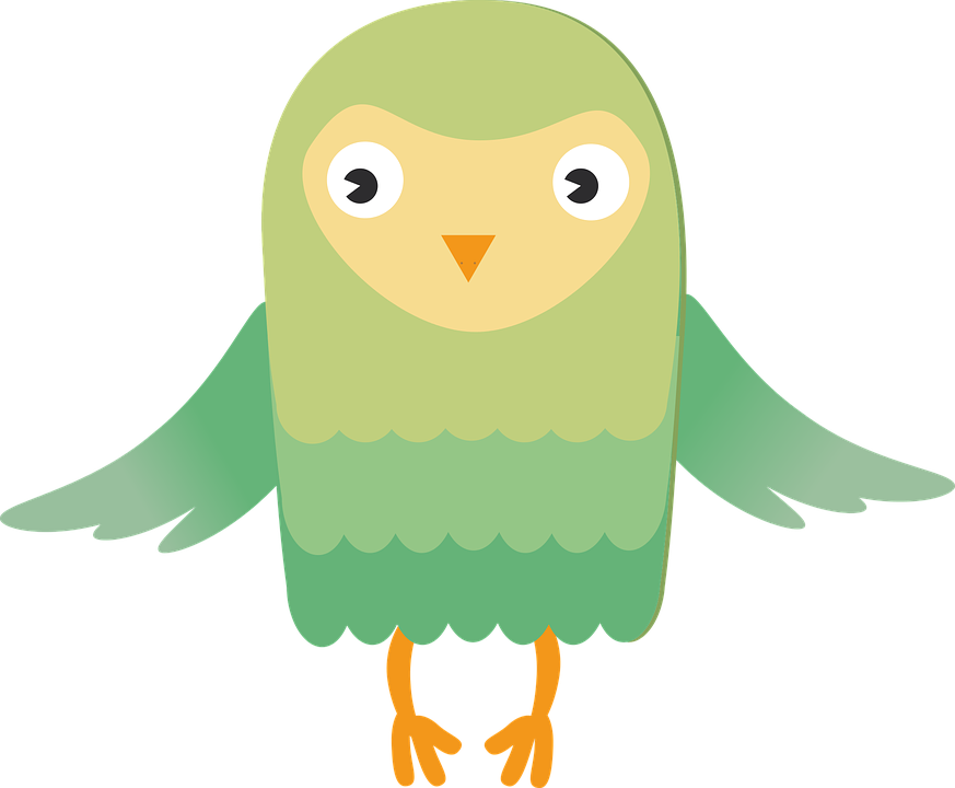 Cartoon Barn Owl 5, Buy Clip Art - Owl (873x720)