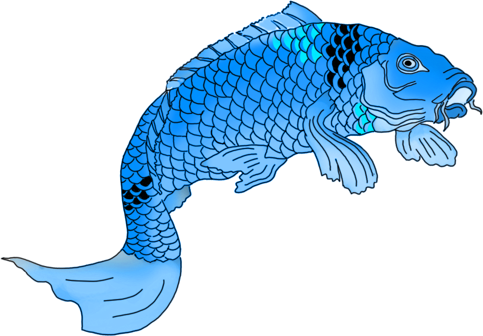 Blue Japanese Koi Fish Drawing - Blue Japanese Koi Fish Drawing (1049x755)