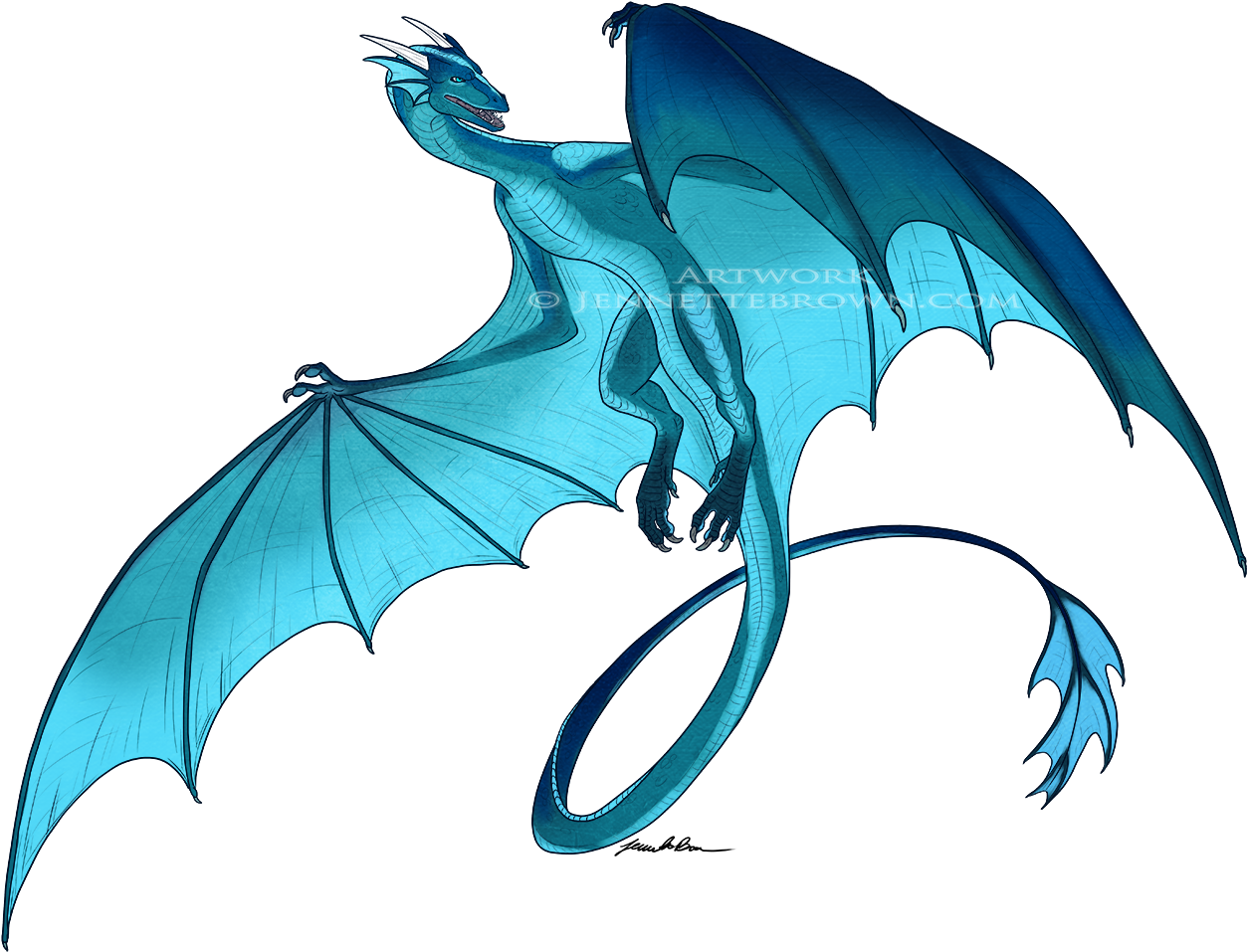 Wyvern Commission By Sugarpoultry On Deviantart - Wyvern Drawings (1300x1040)