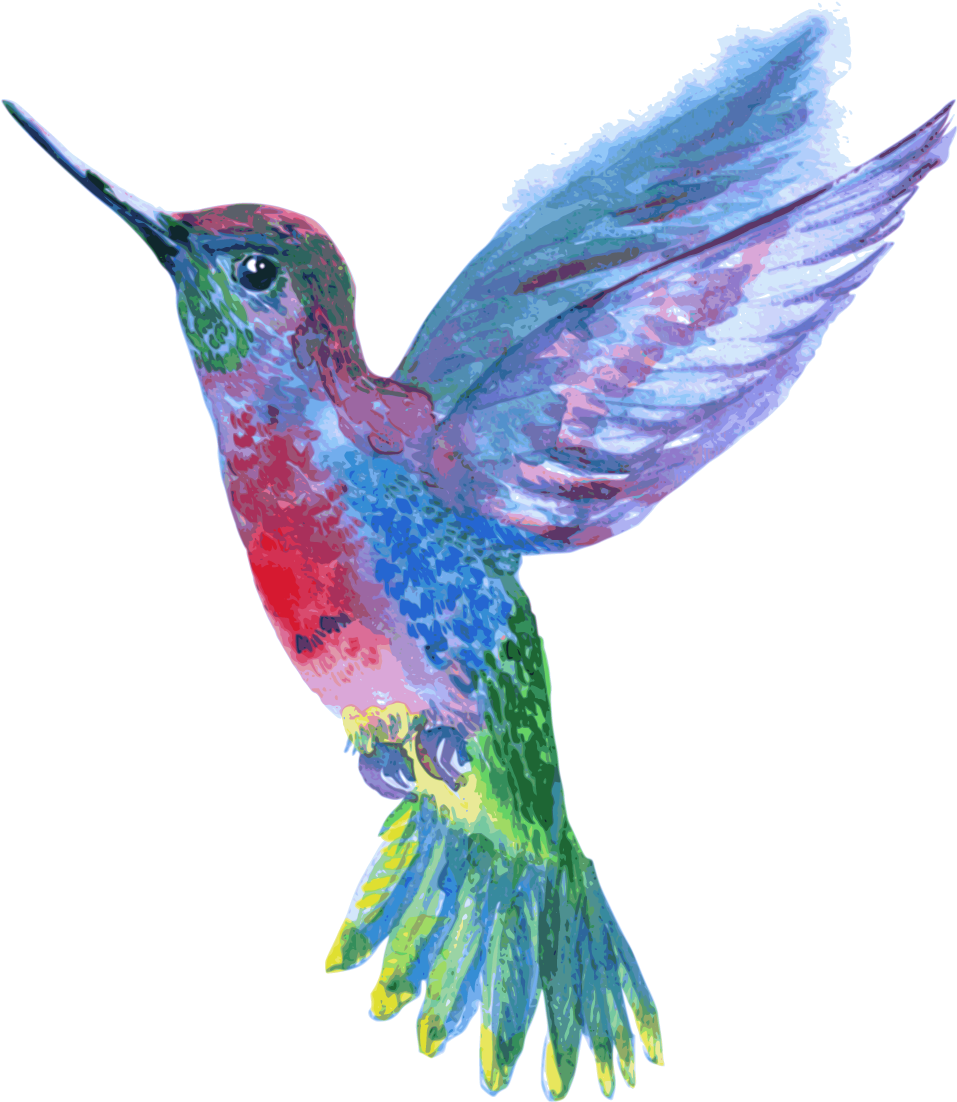 Hummingbird Drawing - Humming Bird - Drawing (1200x1200)