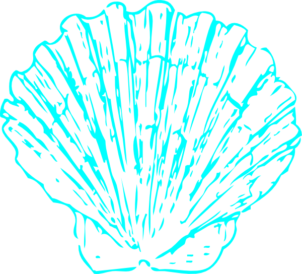 Shell Clipart Aqua Pencil And In Color Shell Clipart - Sea Shell Transparent (600x544)